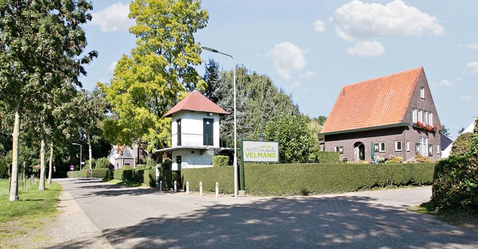 Camping Velmans — photo 6